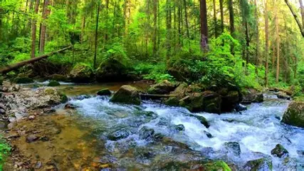 Why We Love Exploring New Places